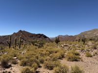 Fahrt nach Potosi  &ndash; &copy; Francisco Javier Burgos Gutierrez (Eberhardt TRAVEL)