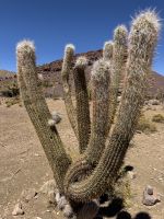 Fahrt nach Potosi  &ndash; &copy; Francisco Javier Burgos Gutierrez (Eberhardt TRAVEL)