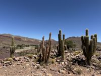 Fahrt nach Potosi  &ndash; &copy; Francisco Javier Burgos Gutierrez (Eberhardt TRAVEL)