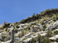 Titicaca  &ndash; &copy; Francisco Javier Burgos Gutierrez (Eberhardt TRAVEL)