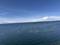Titicaca  &ndash; &copy; Francisco Javier Burgos Gutierrez (Eberhardt TRAVEL)