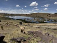 Sillustani  &ndash; &copy; Francisco Javier Burgos Gutierrez (Eberhardt TRAVEL)