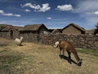 Sillustani  &ndash; &copy; Francisco Javier Burgos Gutierrez (Eberhardt TRAVEL)