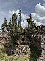 Raqchi  &ndash; &copy; Francisco Javier Burgos Gutierrez (Eberhardt TRAVEL)
