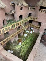 Chinchero  &ndash; &copy; Francisco Javier Burgos Gutierrez (Eberhardt TRAVEL)