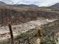 Maras  &ndash; &copy; Francisco Javier Burgos Gutierrez (Eberhardt TRAVEL)