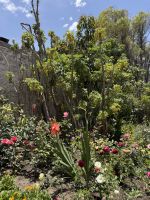Arequipa  &ndash; &copy; Francisco Javier Burgos Gutierrez (Eberhardt TRAVEL)