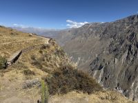 Colca-Canyon &ndash; &copy; Francisco Javier Burgos Gutierrez (Eberhardt TRAVEL)