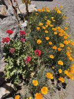 Colca-Canyon &ndash; &copy; Francisco Javier Burgos Gutierrez (Eberhardt TRAVEL)