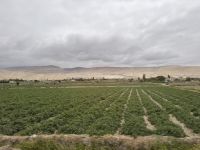 Nazca  &ndash; &copy; Francisco Javier Burgos Gutierrez (Eberhardt TRAVEL)