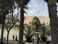 Huacachina &ndash; &copy; Francisco Javier Burgos Gutierrez (Eberhardt TRAVEL)
