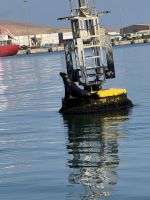 Paracas &ndash; &copy; Francisco Javier Burgos Gutierrez (Eberhardt TRAVEL)