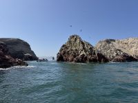 Paracas  &ndash; &copy; Francisco Javier Burgos Gutierrez (Eberhardt TRAVEL)