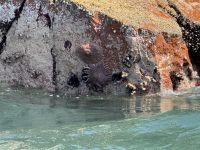 Paracas  &ndash; &copy; Francisco Javier Burgos Gutierrez (Eberhardt TRAVEL)