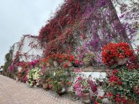 Lima  &ndash; &copy; Francisco Javier Burgos Gutierrez (Eberhardt TRAVEL)