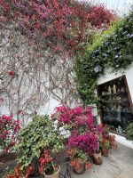 Lima  &ndash; &copy; Francisco Javier Burgos Gutierrez (Eberhardt TRAVEL)