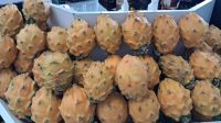 Obst Markthalle San Isidoro Lima &ndash; &copy; Anette Rietz (Eberhardt TRAVEL)