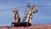 Typische Stiere Peru &ndash; &copy; Anette Rietz (Eberhardt TRAVEL)