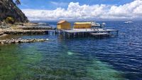 Ankunft Sonneninsel am Titicacasee &ndash; &copy; Anette Rietz (Eberhardt TRAVEL)