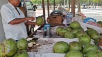 Kokoswasser probieren in Leme - Rio de Janeiro