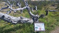 Torres del Paine Nationalpark, Chile &ndash; &copy; Anette Rietz (Eberhardt TRAVEL)