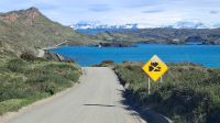 Torres del Paine Nationalpark, Chile Pehoe See &ndash; &copy; Anette Rietz (Eberhardt TRAVEL)