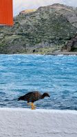 Pehoe See, Patagonien, Chile &ndash; &copy; Manuel González Urrutia (Eberhardt TRAVEL)
