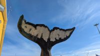 Punta Arenas Hafen &ndash; &copy; Natalie Hady (Eberhardt TRAVEL)
