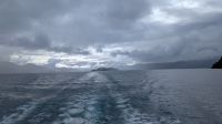 Bootsfahrt auf dem Lago todos los Santos  &ndash; &copy; Natalie Hady (Eberhardt TRAVEL)