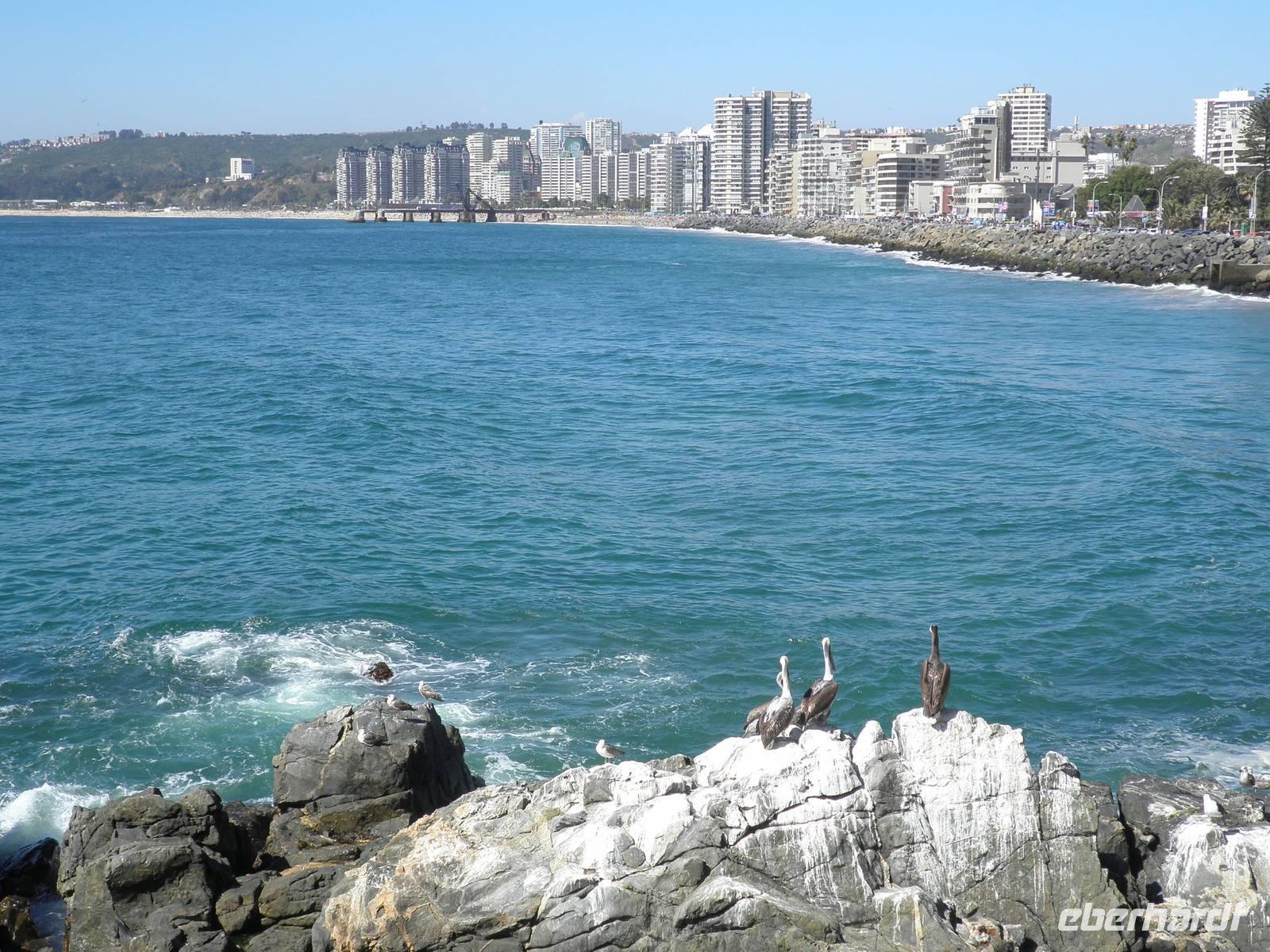 Vina del Mar &ndash; &copy; Constanze Hölig (Eberhardt TRAVEL)