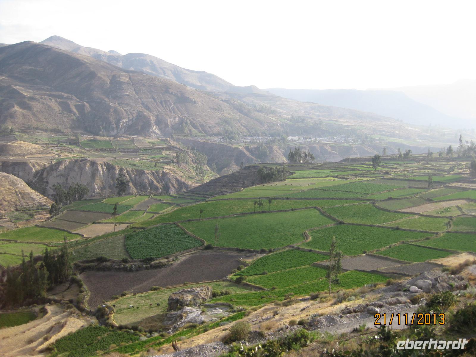 IMG_4388 Das Colca Tal &ndash; &copy; Johanna Vogt (Eberhardt TRAVEL)