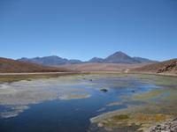 IMG_4029