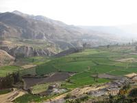 IMG_4388 Das Colca Tal &ndash; &copy; Johanna Vogt (Eberhardt TRAVEL)