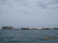 IMG_4430 Vogelkolonie und Seelöwen vor Paracas &ndash; &copy; Johanna Vogt (Eberhardt TRAVEL)