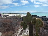 Bachas &ndash; &copy; Betina Marinow (Eberhardt TRAVEL)
