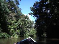 Cuyabeno Nationalpark &ndash; &copy; Betina Marinow (Eberhardt TRAVEL)