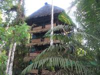 Cuyabeno Reservat - Tapir Lodge -Wohnturm &ndash; &copy; Annette Weise (Eberhardt TRAVEL)