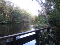 Cuyabeno Reservat - Tapir Lodge &ndash; &copy; Annette Weise (Eberhardt TRAVEL)