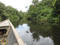 Cuyabeno Reservat - Regenwald &ndash; &copy; Annette Weise (Eberhardt TRAVEL)