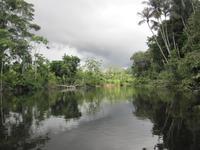 Cuyabeno Reservat &ndash; &copy; Annette Weise (Eberhardt TRAVEL)