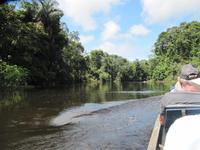 Cuyabeno Reservat - &ndash; &copy; Annette Weise (Eberhardt TRAVEL)