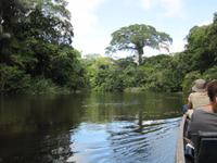Cuyabeno Reservat - &ndash; &copy; Annette Weise (Eberhardt TRAVEL)