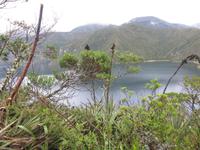 Cuicocha-See - &ndash; &copy; Annette Weise (Eberhardt TRAVEL)