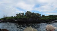 Galapagos - Floreana &ndash; &copy; Annette Weise (Eberhardt TRAVEL)