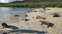 Galapagos - Santa Fee &ndash; &copy; Annette Weise (Eberhardt TRAVEL)
