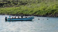Galapagos - Santa Fee - Fischer &ndash; &copy; Annette Weise (Eberhardt TRAVEL)