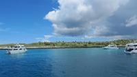 Galapagos -Plaza Sur &ndash; &copy; Annette Weise (Eberhardt TRAVEL)