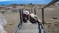 Galapagos - Ausflug nach Bartolome - Auf der Suche nach der besten Filmposition &ndash; &copy; Annette Weise (Eberhardt TRAVEL)