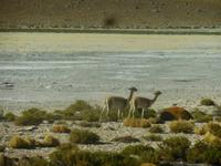 Atacamawüste &ndash; &copy; Sylvia Sann (Eberhardt TRAVEL)