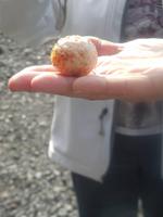 Frucht &ndash; &copy; Sylvia Sann (Eberhardt TRAVEL)